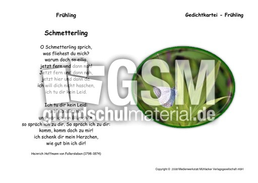 Schmetterling-Fallersleben.pdf
